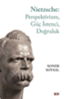 Nietzsche: Perspektivizm, Güç İstenci, Doğruluk resmi