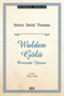 Walden Gölü resmi