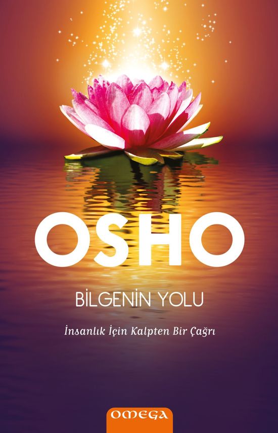 Bilgenin Yolu resmi